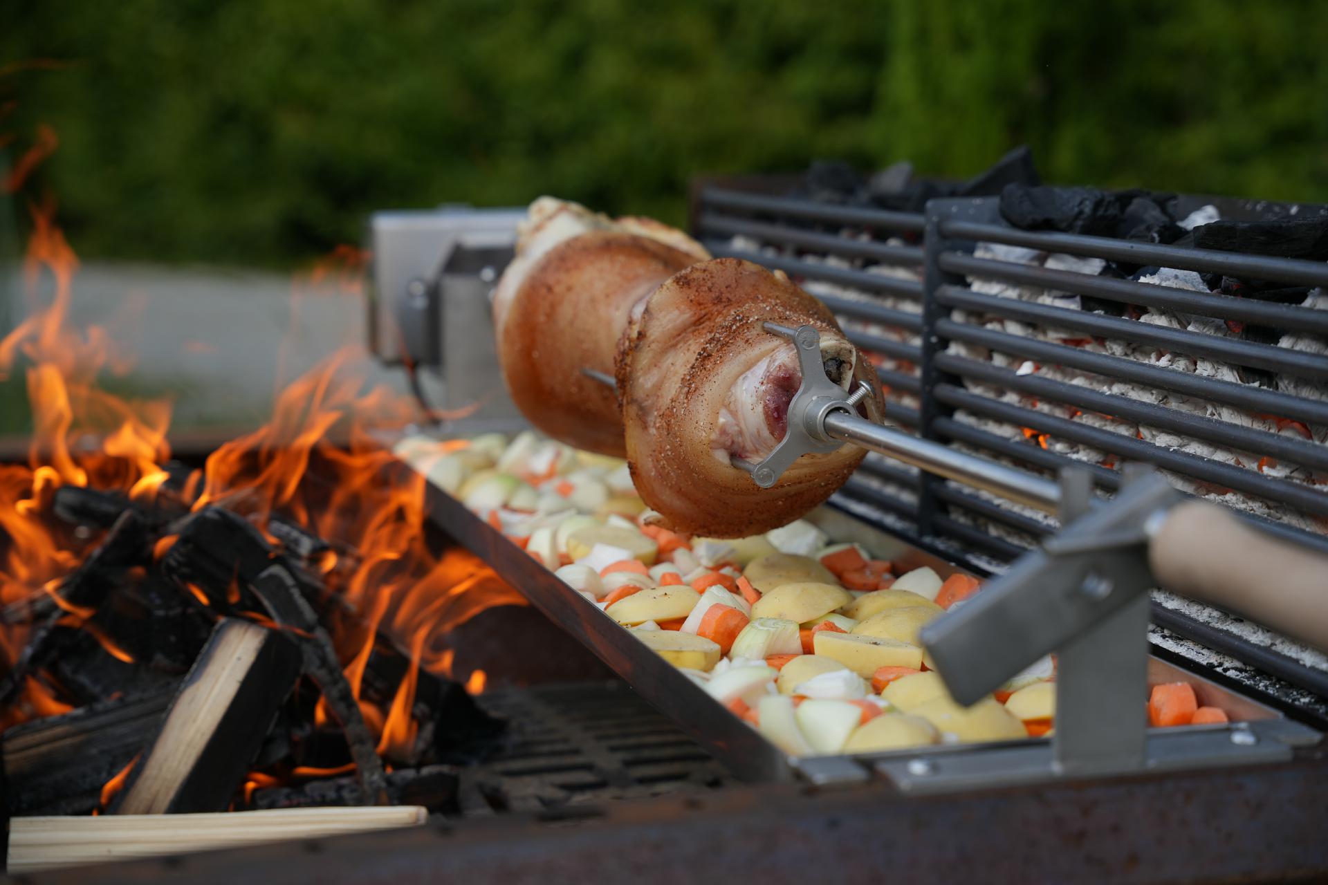 PROFI Spießgabel Edelstahl Fleischnadeln Drehantrieb Halter (1 Stück)