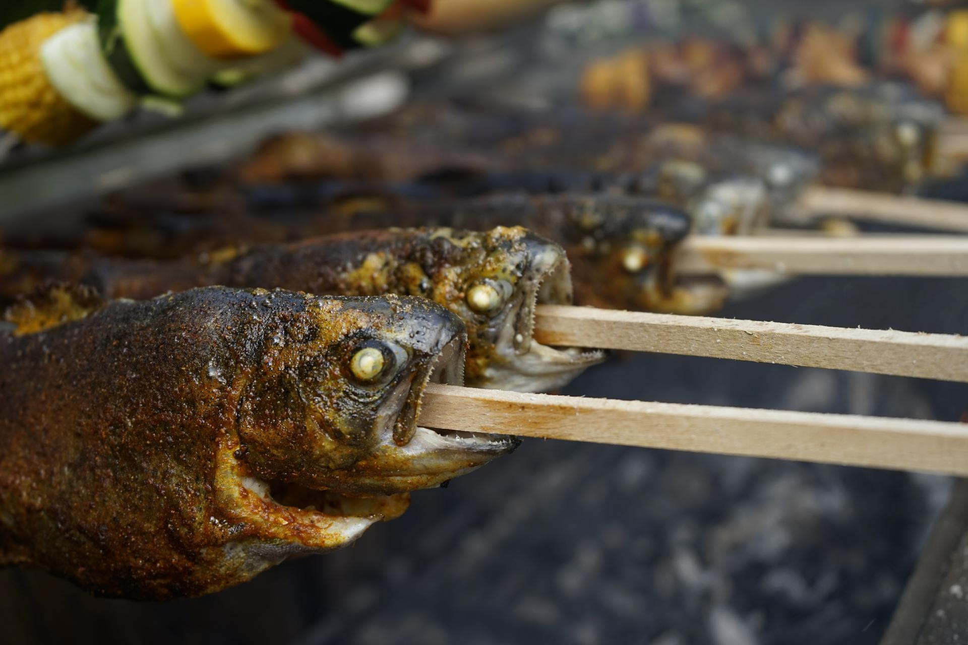 Steckerlfischgrill Fischgrill Gastrogrill Fisch Grill Griller Steckerlfisch Edelstahlgrill Edelstahl Grill (9) Steckerlfischgrill Fischgrill Gastrogrill Fisch Grill Griller Steckerlfisch Edelstahlgrill Edelstahl Grill (9)
