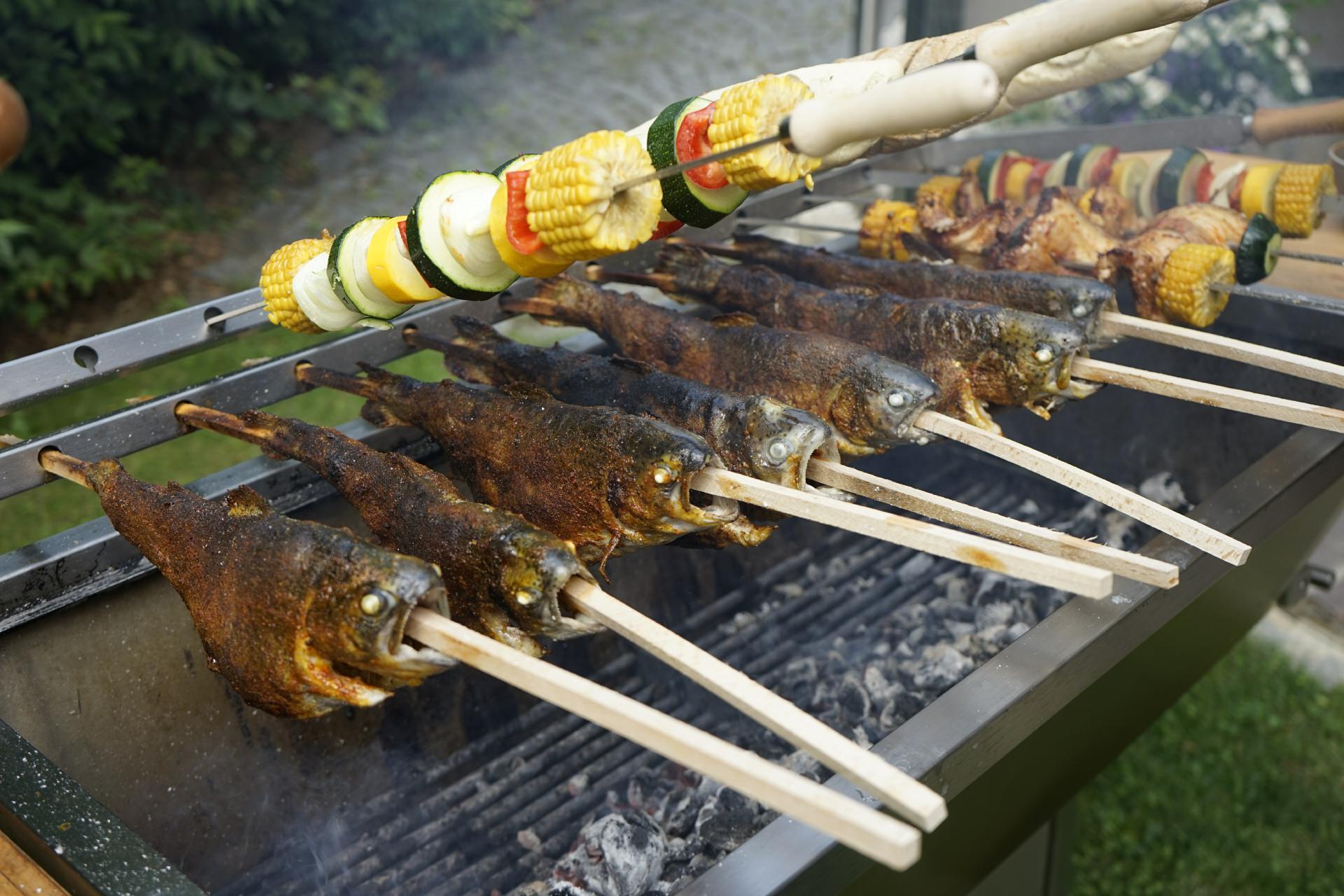 Steckerlfischgrill Fischgrill Gastrogrill Fisch Grill Griller Steckerlfisch Edelstahlgrill Edelstahl Grill (11) Steckerlfischgrill Fischgrill Gastrogrill Fisch Grill Griller Steckerlfisch Edelstahlgrill Edelstahl Grill (11)
