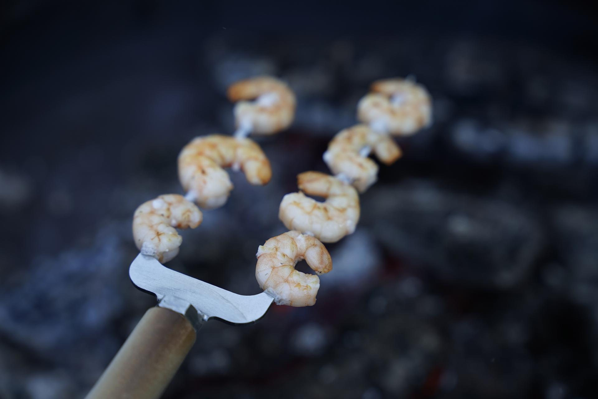 Lagerfeuerspieß 2er Gabel + 700 mm Holzgriff Stockbrotspieß Grillspieß Fleischspieß