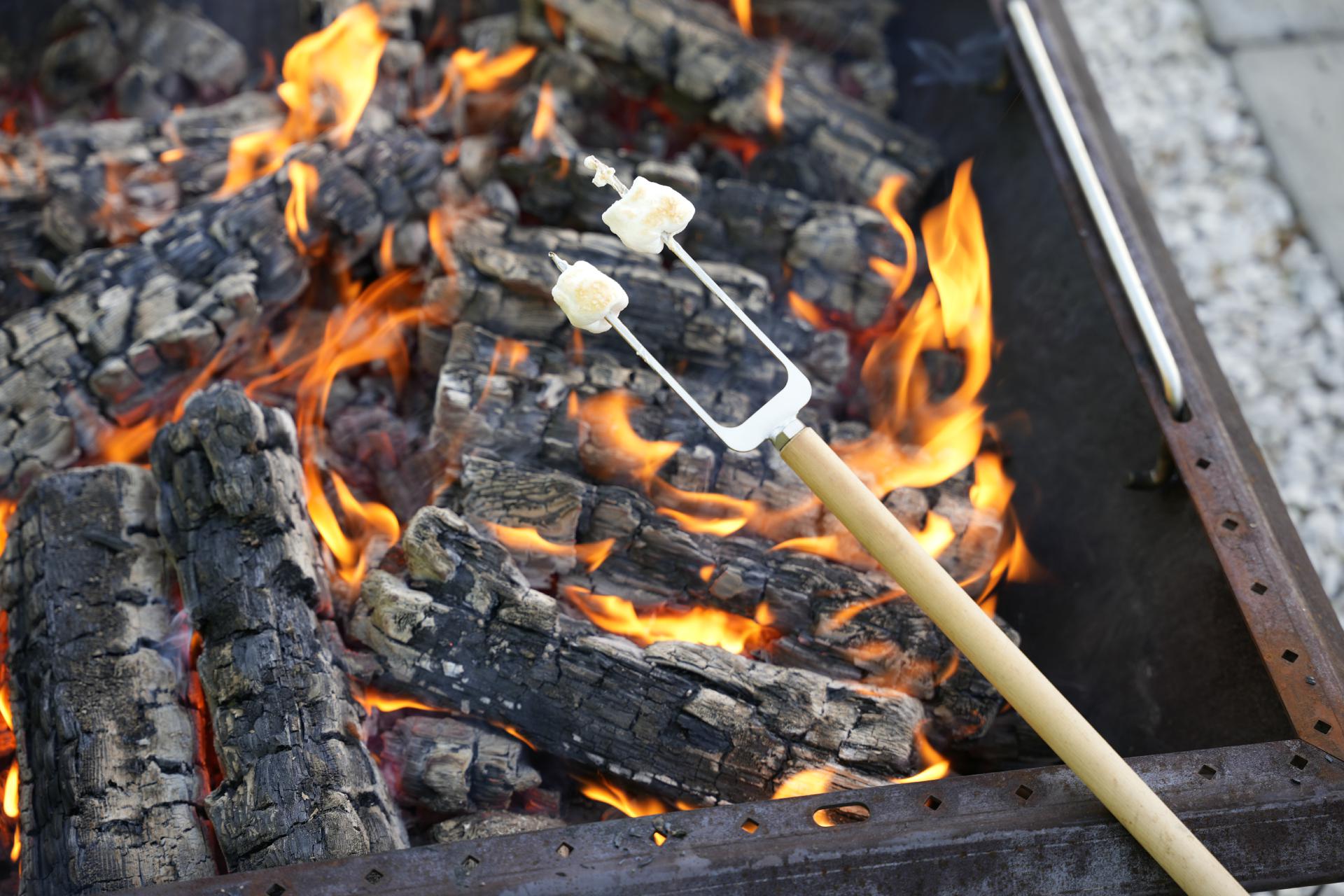 Spießaufsatz 2er Gabel Lagerfeuerspieß Edelstahl