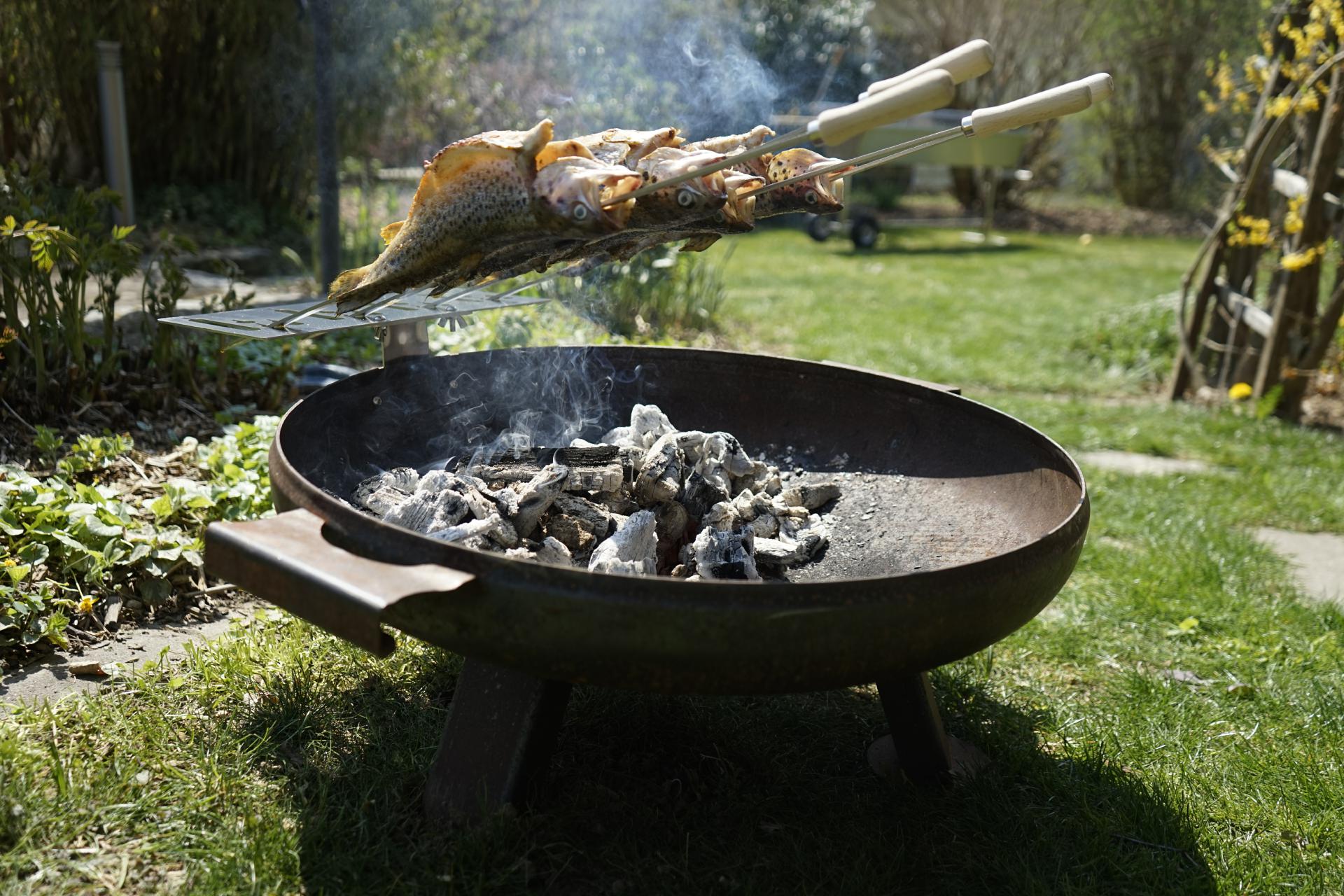 Edelstahlspieße 12x680 mm mit 90 mm Holzgriff Steckerlfisch Spieße Grillspieß Edelstahl